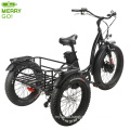 500W Front Drive Three Wheel Electric Tricycle for Adults